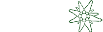 Hotel Edelweiss - Baqueira Beret
